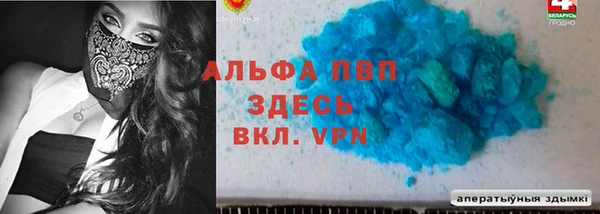 крисы Алексин