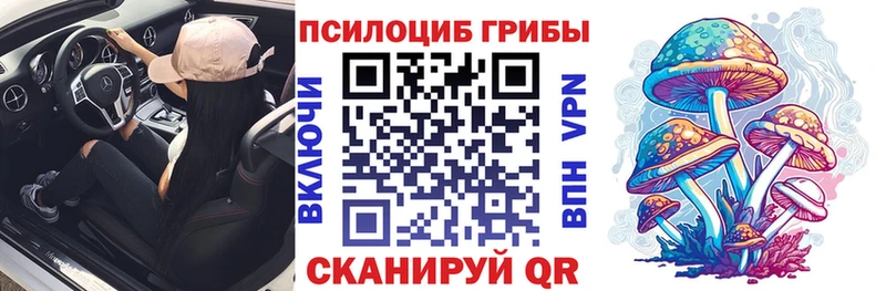мега ТОР Краснознаменск Галлюциногенные грибы прущие грибы как найти наркотики